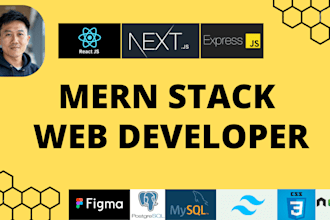 be mern stack developer for web application