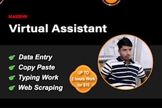 be your virtual assistant for excel data entry, typing, copy paste and others