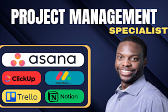 do asana clickup notion monday crm monday trello notion zapier automation expert
