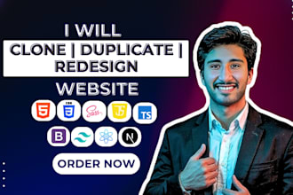 copy, clone, redesign, duplicate your website, landing page using react, next js