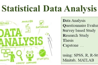do statistical data analysis using spss, r, r studio, matlab, excel, and python