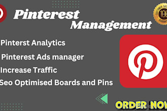 be your pinterest marketing manager to increase traffic also design pin to boost