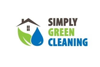 make professional simply green cleaning logo