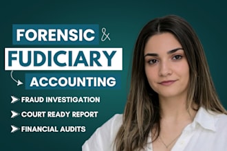 perform forensic and fiduciary accounting, financial audits, investigate frauds
