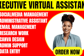 be your business virtual executive assistant
