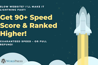 do wordpress speed optimization and audit