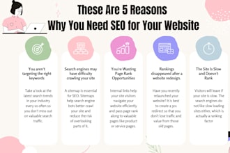 do monthly SEO on page technical optimization and off page service