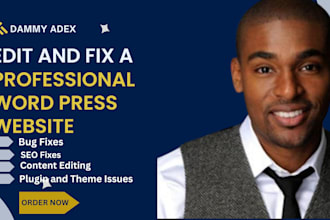 fix plugin issues, backup installation, content edits on your wp websites