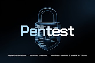 perform a professional penetration test and security audit