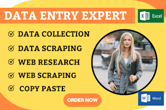 do data scraping, web scraping, copy paste, web research and data collection