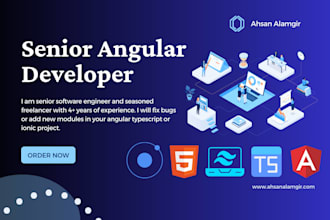 be your frontend angular developer for website and admin portals