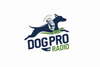 create high quality and beautiful radio logo design