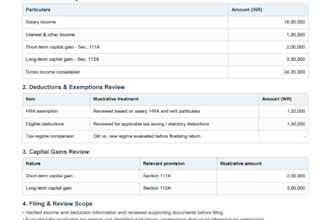 prepare and file indian income tax returns for individuals and small businesses