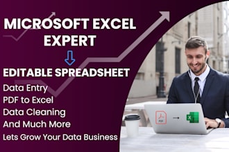be your excel expert for data entry and convert pdf to excel