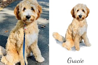 custom pet portrait, digital art, watercolor, pet memorials