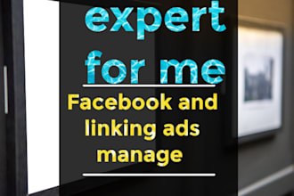 experts for facebook  ant  linkedin ads managed