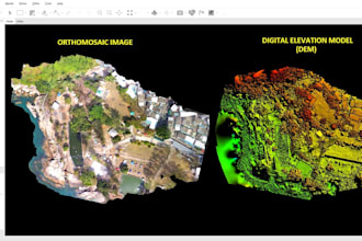 process and interpret drone survey data