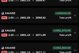 provide forex trading strategies forex consultation forex skills