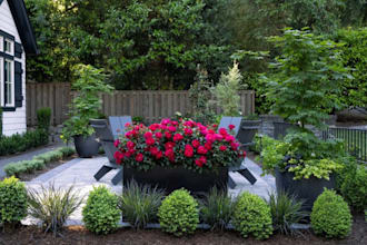 do backyard landscape design, patio, pool and garden as landscape architect
