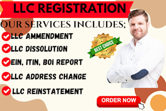 do USA llc dissolution, llc reinstatement, llc ammendment, llc address change
