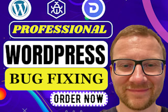 fix wordpress issues, bug critical error, CSS, elementor pro, divi website help