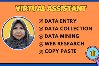 be your virtual assistant for data entry, typing, copy paste and web research