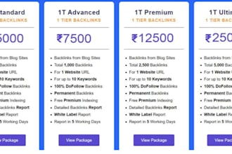 build 5000 dofollow blog comment SEO backlinks high da pa