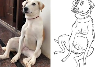 draw custom ugly pet portrait, bad portrait, line drawing