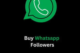 buildup whatsapp group,get 10k follower,whatsapp channel,gain member,promotion