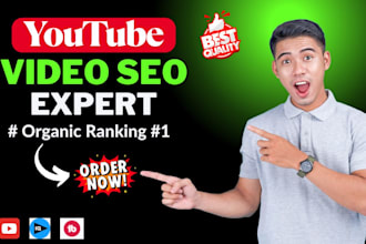 do the best youtube video SEO optimization for fast ranking and organic growth