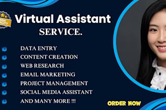 be your creative virtual personal assistance executive administrative assistant