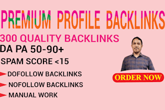 profile backline 300 high authority for ranking your site