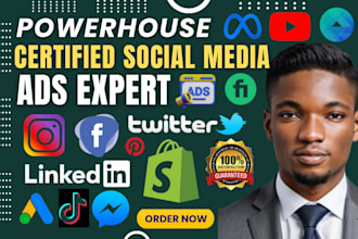 setup and manage facebook, instagram, meta, google, tiktok twitter linkedin ads