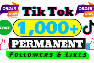 buy 1000 tiktok followers fast