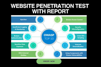 website security penetration test with a detailed security report
