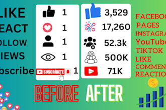 promote your facebook instagram youtube tiktok post and growth pages organically