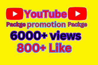 send you organic 3,000 youtube views safe