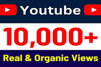 send you organic 5,000 youtube views safe