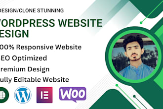 design, redesign, copy clone wordpress website using elementor pro