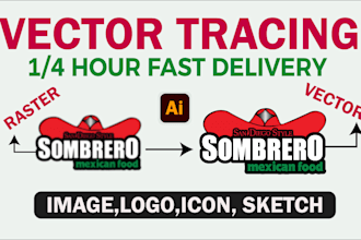 manual vector tracing, redraw, cleanup, modify, recreate