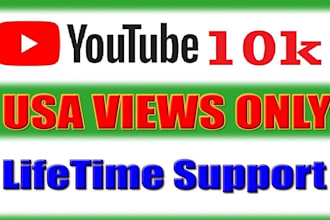 do 5000 organic youtube video views from usa