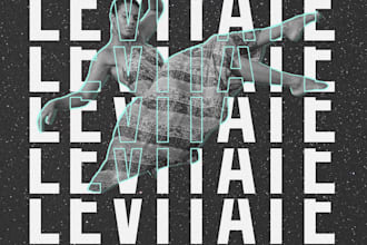 create a aesthetic typographic poster design for you