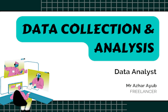 provide you data analyst services