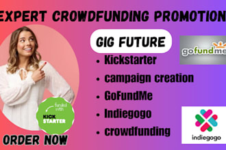 do expert crowdfunding promotion and consulting to help boost real donors list