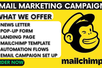 design mailchimp newsletter template email marketing campaign email automation