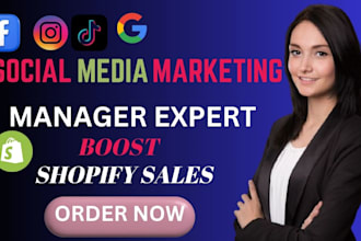 do shopify promotion store audit and improve shopify sales