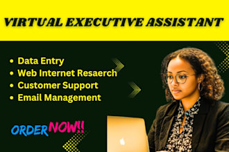 be your long term executive administrative personal virtual assistant obm ORM