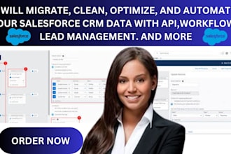 migrate clean optimize automate salesforce CRM API workflows lead management