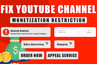 help you get your youtube monetization back