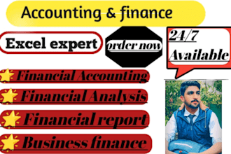 do accounting and finance assignments, financial statements and report projects